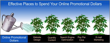 online promotional dollars