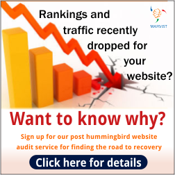 Check out our new post hummingbird website audit service