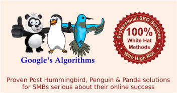 Proven post humming bird, penguin and panda solutions for SMBs about their online success